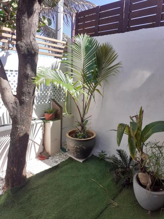 Les Badamiers Villa Saint Pierre Bagian luar foto