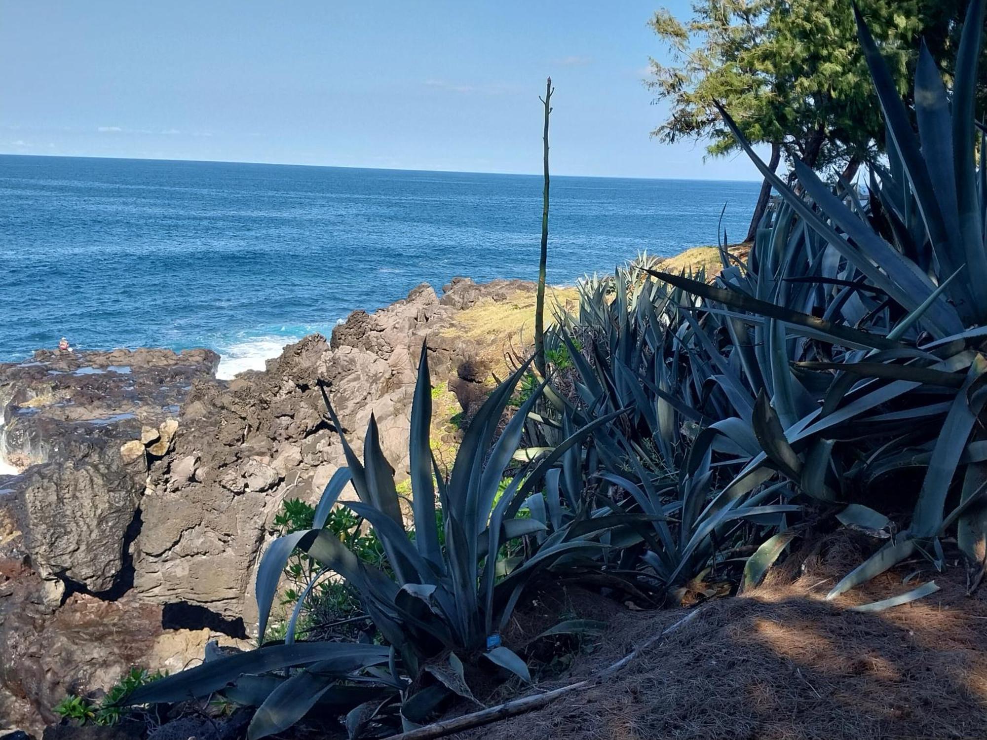 Les Badamiers Villa Saint Pierre Bagian luar foto