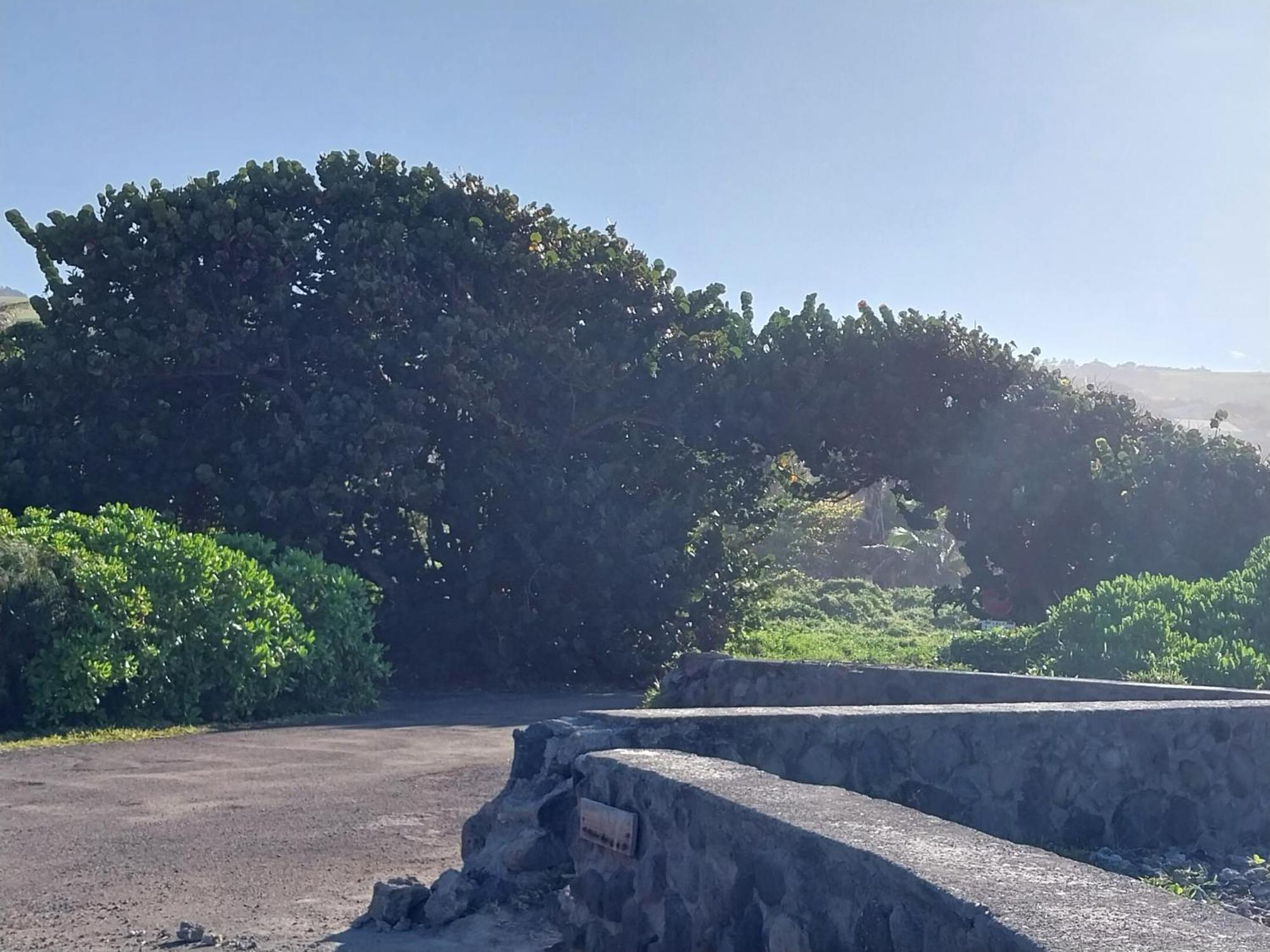Les Badamiers Villa Saint Pierre Bagian luar foto